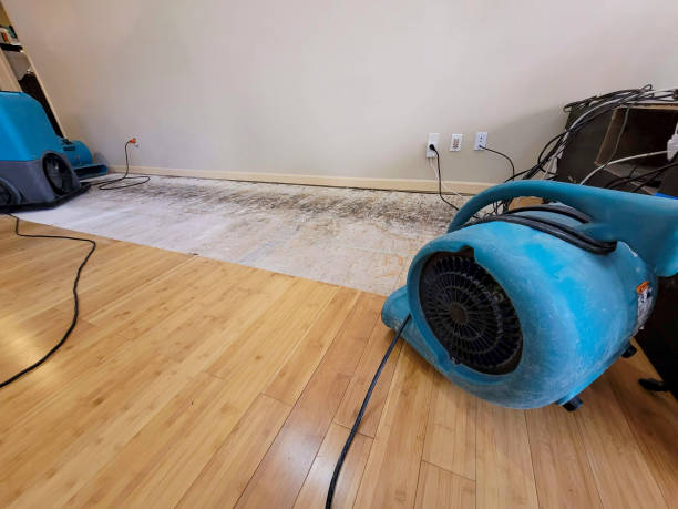 Professional Water Removal technician working in Labadie, MO